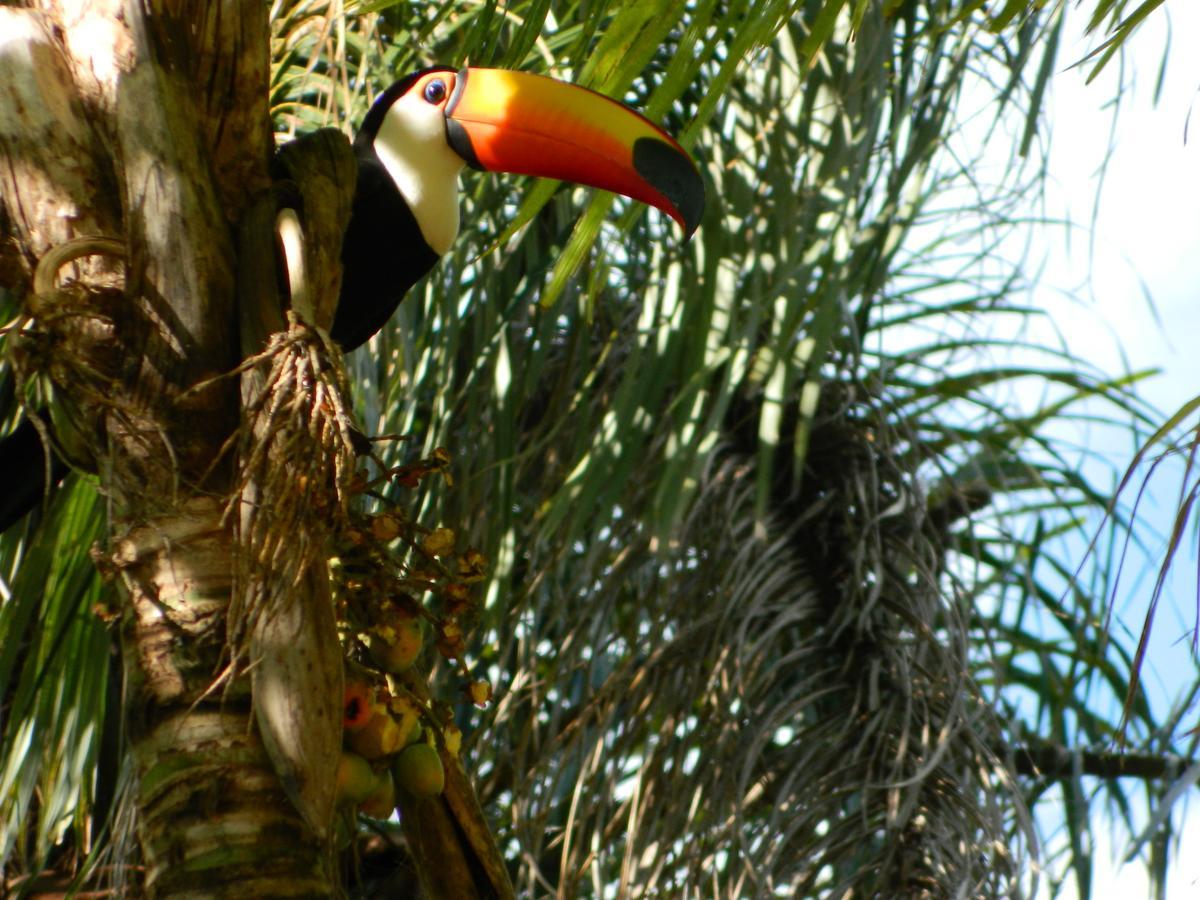 Pousada Fazenda Peroba Rosa Pedregulho Экстерьер фото